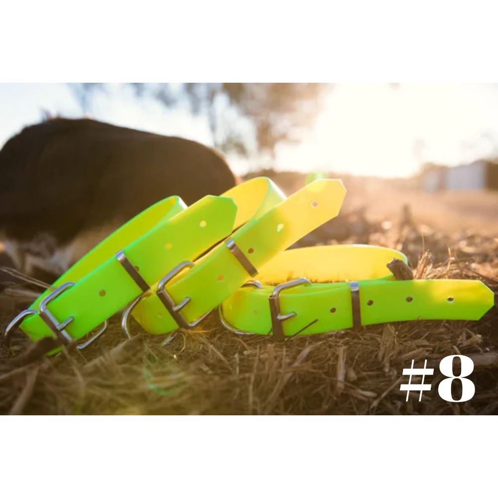 Dog Collar PVC LGE 32mmW 55cmL Clermont Kelpies - Image 3