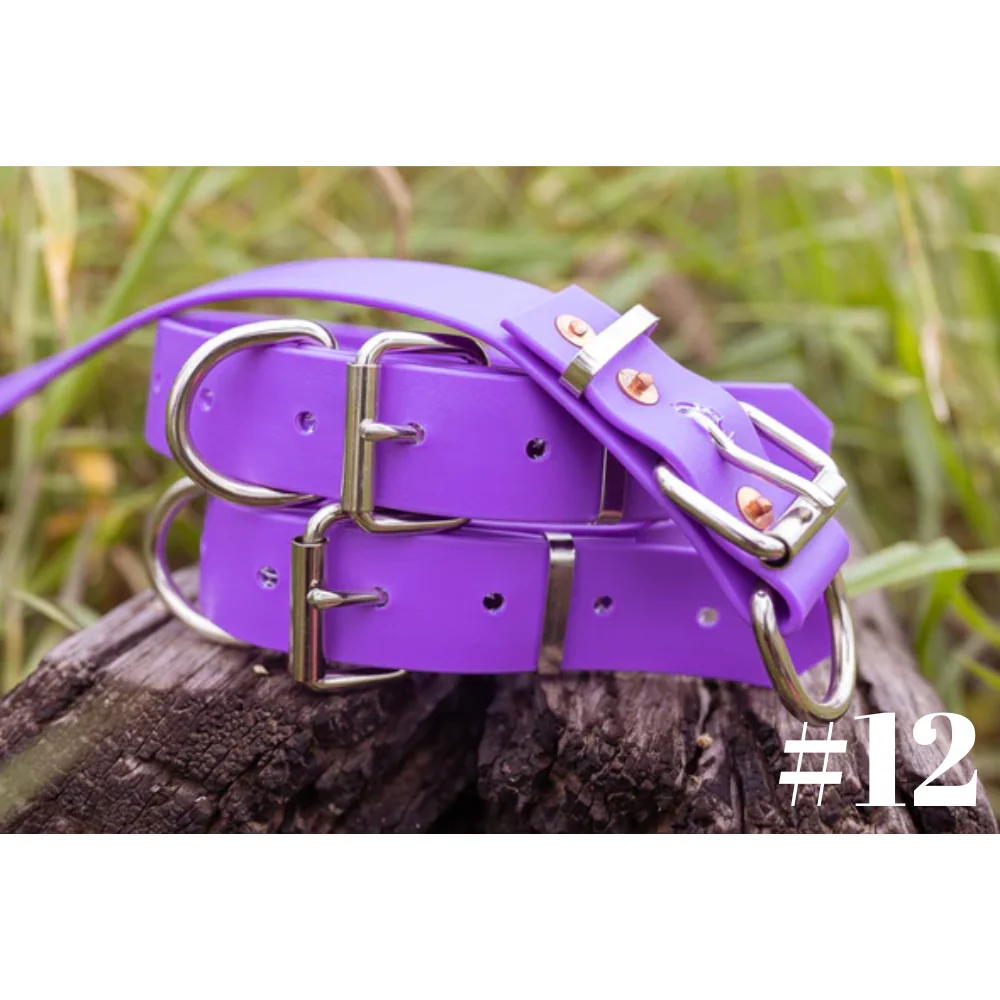 Dog Collar PVC LGE 32mmW 55cmL Clermont Kelpies - Image 5