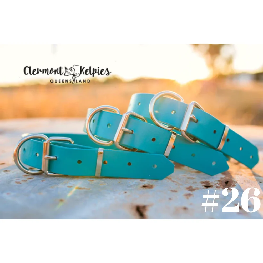 Dog Collar PVC LGE 32mmW 55cmL Clermont Kelpies - Image 9