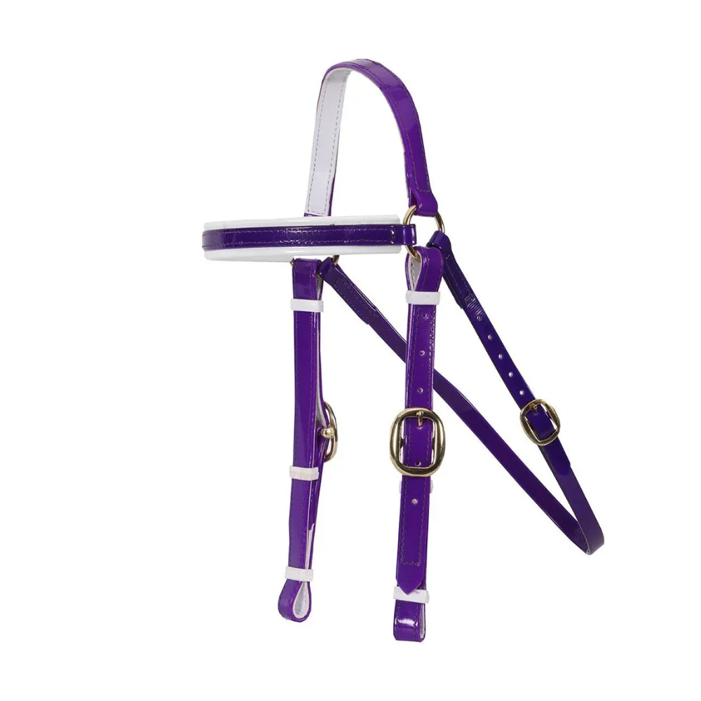 Horse Sense Bridle Head Barcoo Brass - Image 4
