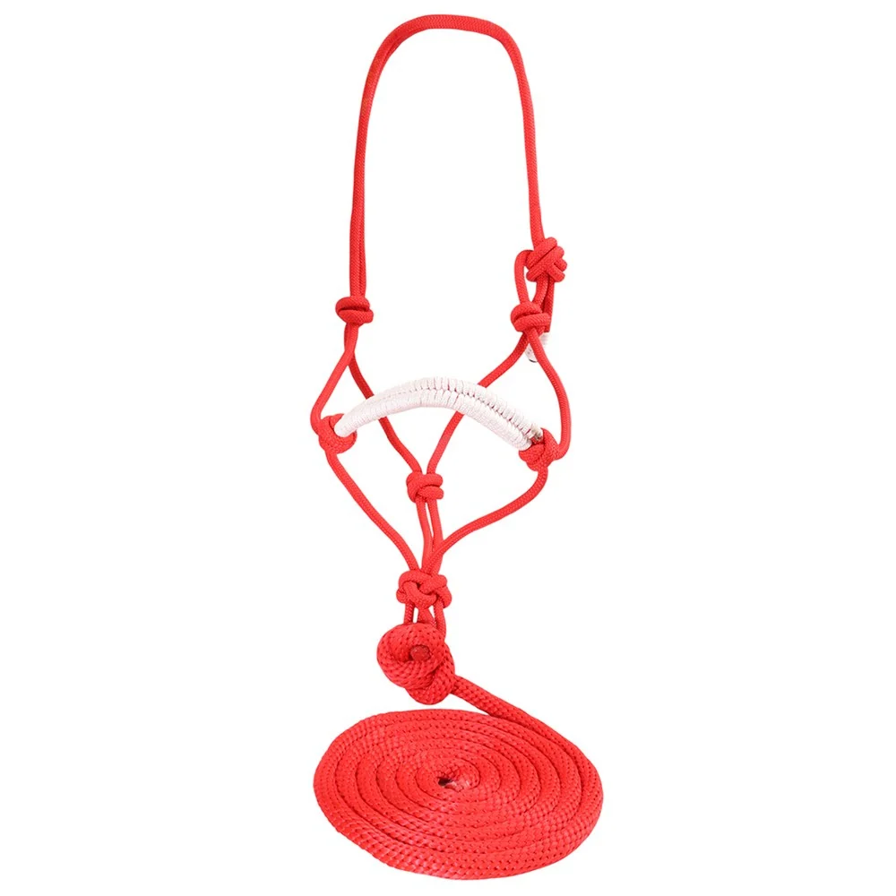 Knotted Rope Halter and Lead - Image 2