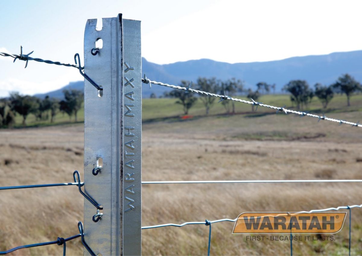 Steel Post Waratah 6ft Galstar Extreme - Image 3