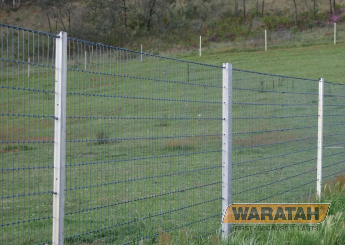 Steel Post Waratah 6ft Galstar Extreme - Image 4