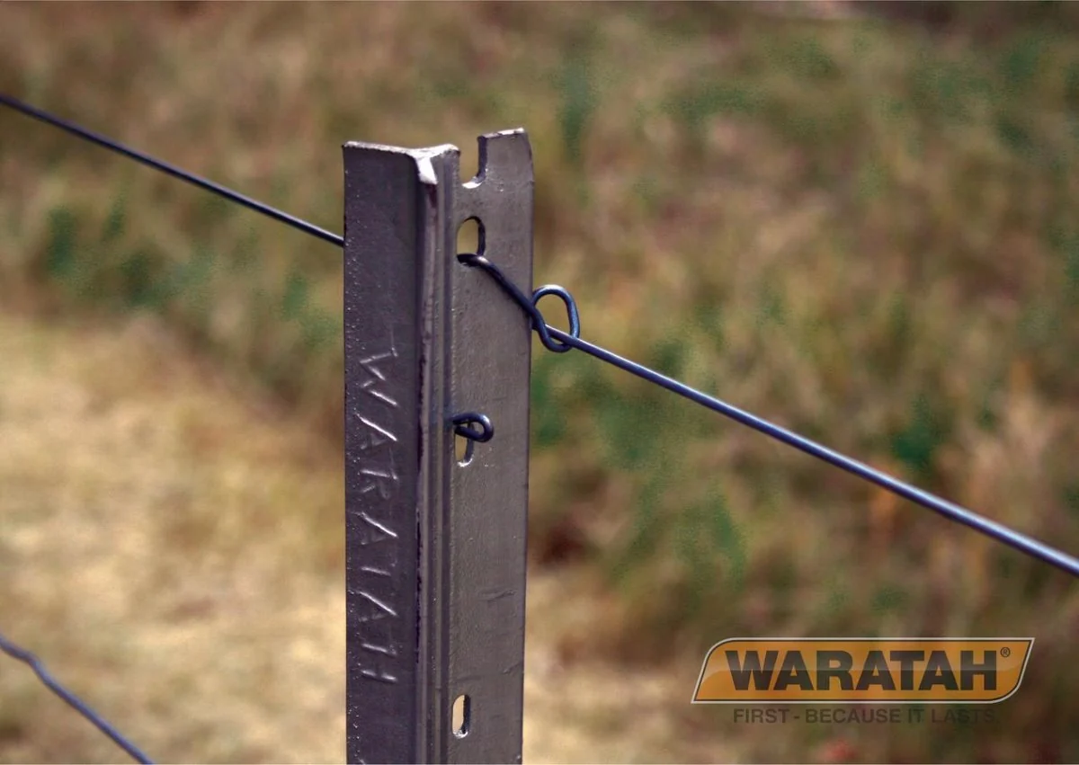 Steel Post Waratah 6ft Jio - Image 5